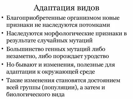 Виды адаптации тест