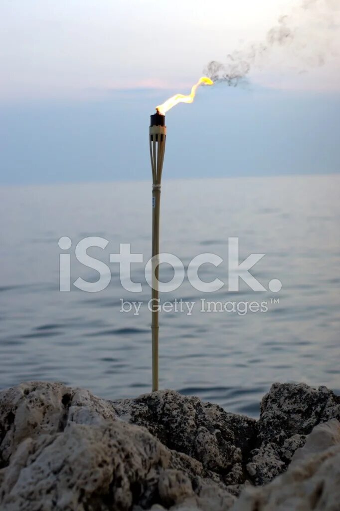 Torch 2.4. Torch 2.4