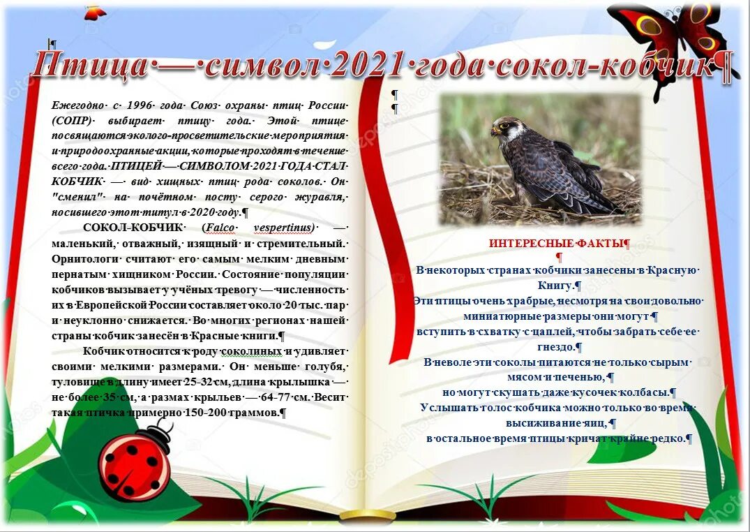 Когда день птиц в 2024 году. Птица 2021 года в России Союз охраны птиц России. Птица года 2021 года в России. Кобчик птица года Союз охраны птиц России. День птиц в России в 2021.