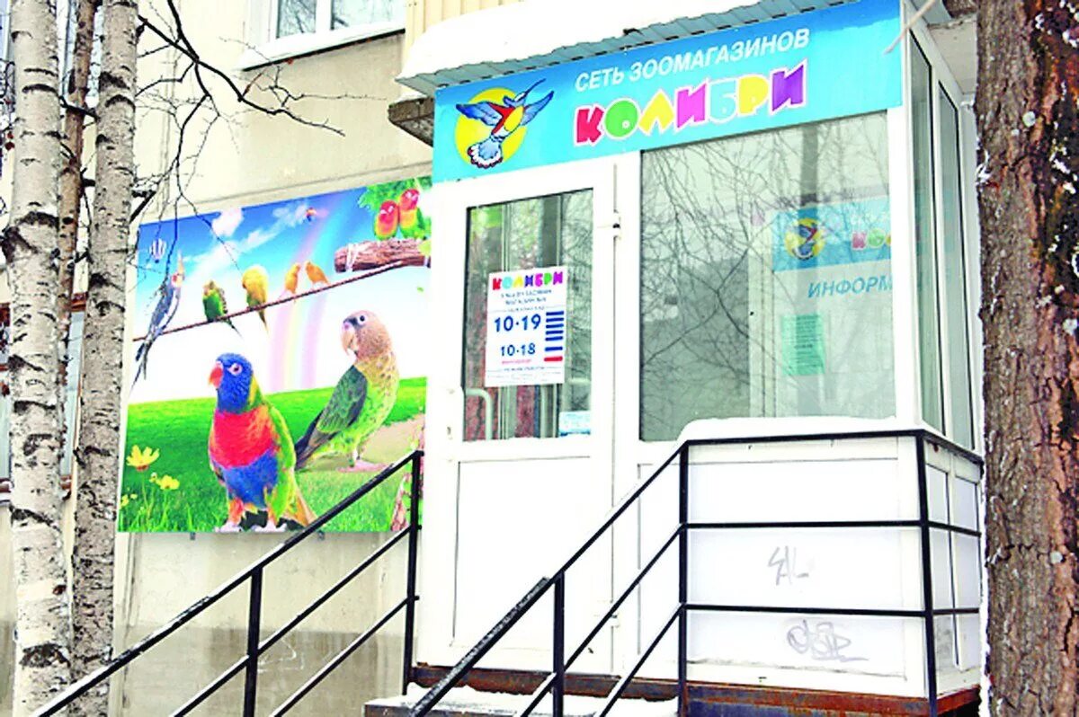 Сыктывкар мира 48. Колибри сыктывкар орбита. Зоомагазин эжва колибри. Балакирева 47а владимир. Колибри сыктывкар официальный сайт.