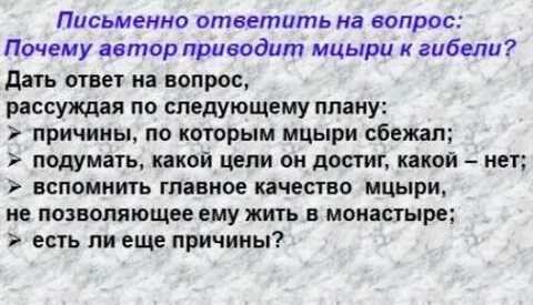 Автор привел