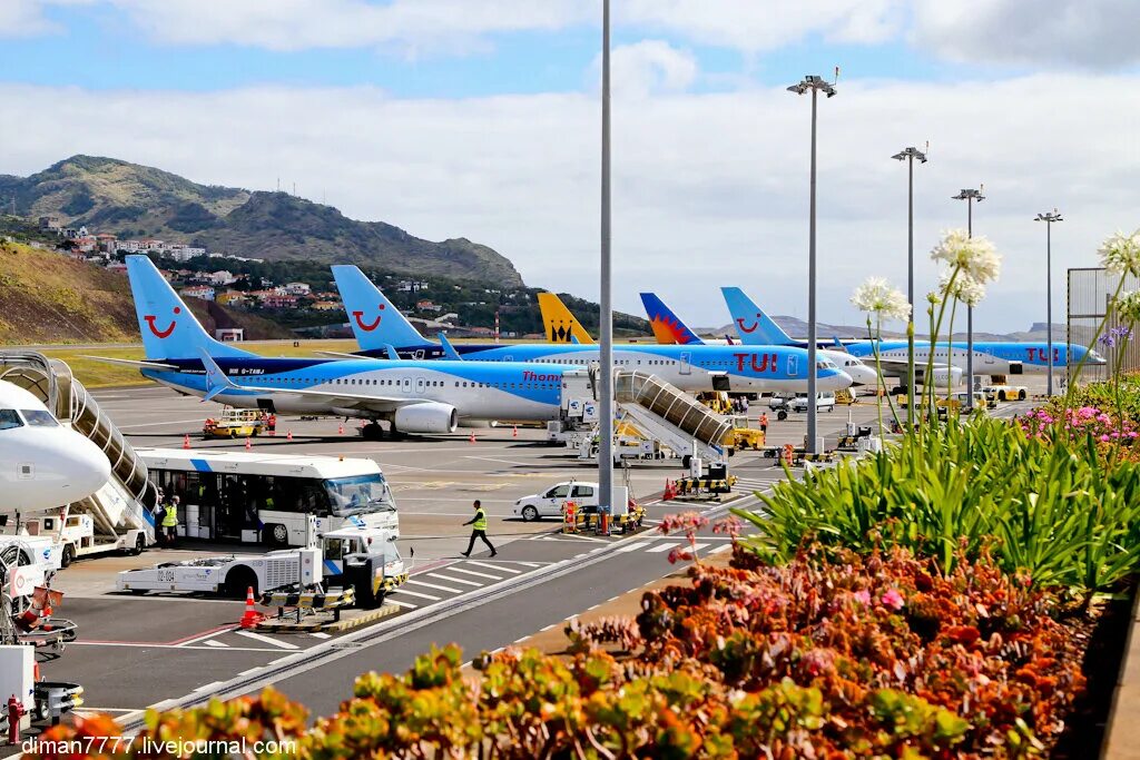 Madeira Airport. Practical info, guide, direct plane connections