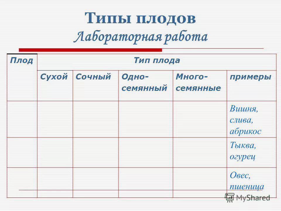 Лабораторная работа классификация плодов. Таблица плодов по биологии 6 класс. Многообразие и классификация плодов. Лабораторная работа по биологии 6 класс классификация плодов. Лабораторная работа плоды.