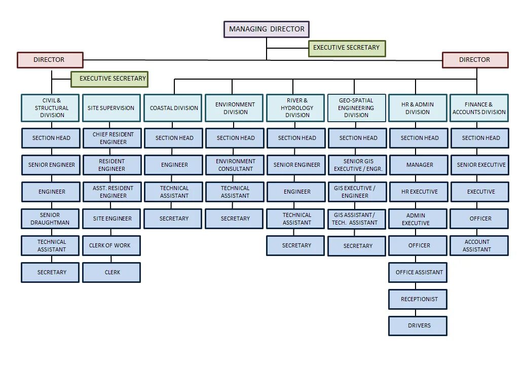 Админ деление. Organizational Chart. Организационная структура бренда Zara. Организационная структура медицинского центра океан Владивосток. Organization Chart h&m.