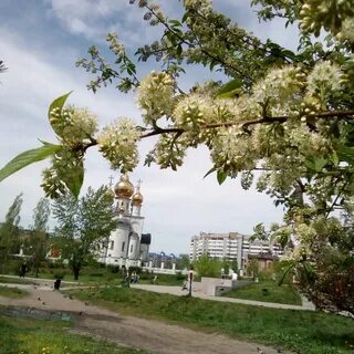 Парк преображенка