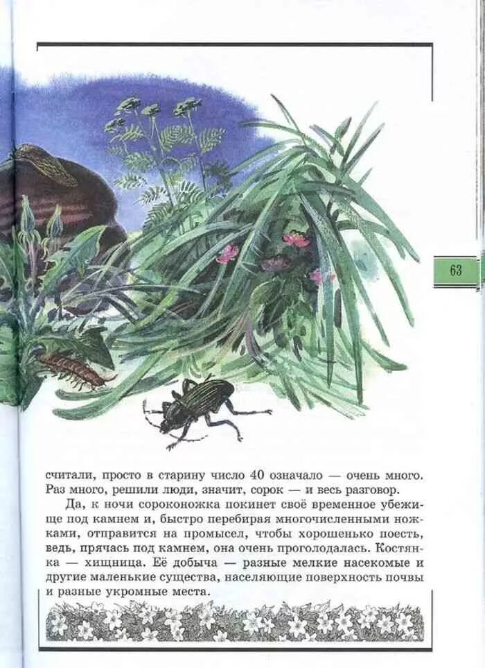 Великан на поляне насекомые. Книга великан на поляне стр 101-103. великан на поляне стр. 101-103 2. великан на поляне стр 101-103 легенды. книга великан на поляне с 103.