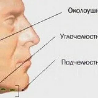 Околоушной узел