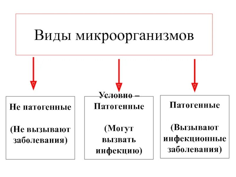 Условно патогенные микроорганизмы вызывают заболевание. Виды патогенных микроорганизмов. виды микроорганизмов патогенные условно патогенные. заболевания условно патогенных микроорганизмов. заболевания вызванные патогенными микроорганизмами.