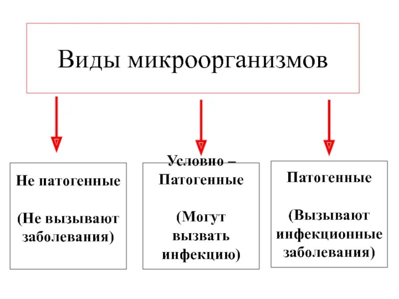 Патогенные микроорганизмы болезни. Виды патогенных микроорганизмов. Виды микроорганизмов патогенные условно патогенные. Заболевания вызванные условно патогенными микроорганизмами. Не патогенные патогенные и условно патогенные микроорганизмы.