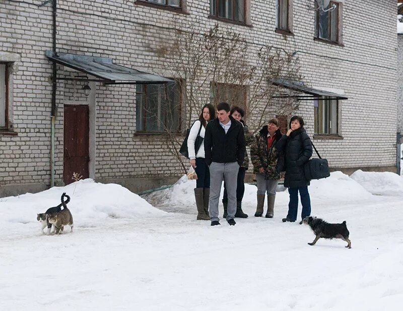 Черемухино база отдыха чайка. Черёмухино. Поселок черемухино приозерский район. Тайпаловский залив ладожского озера. Мыс черемухина.