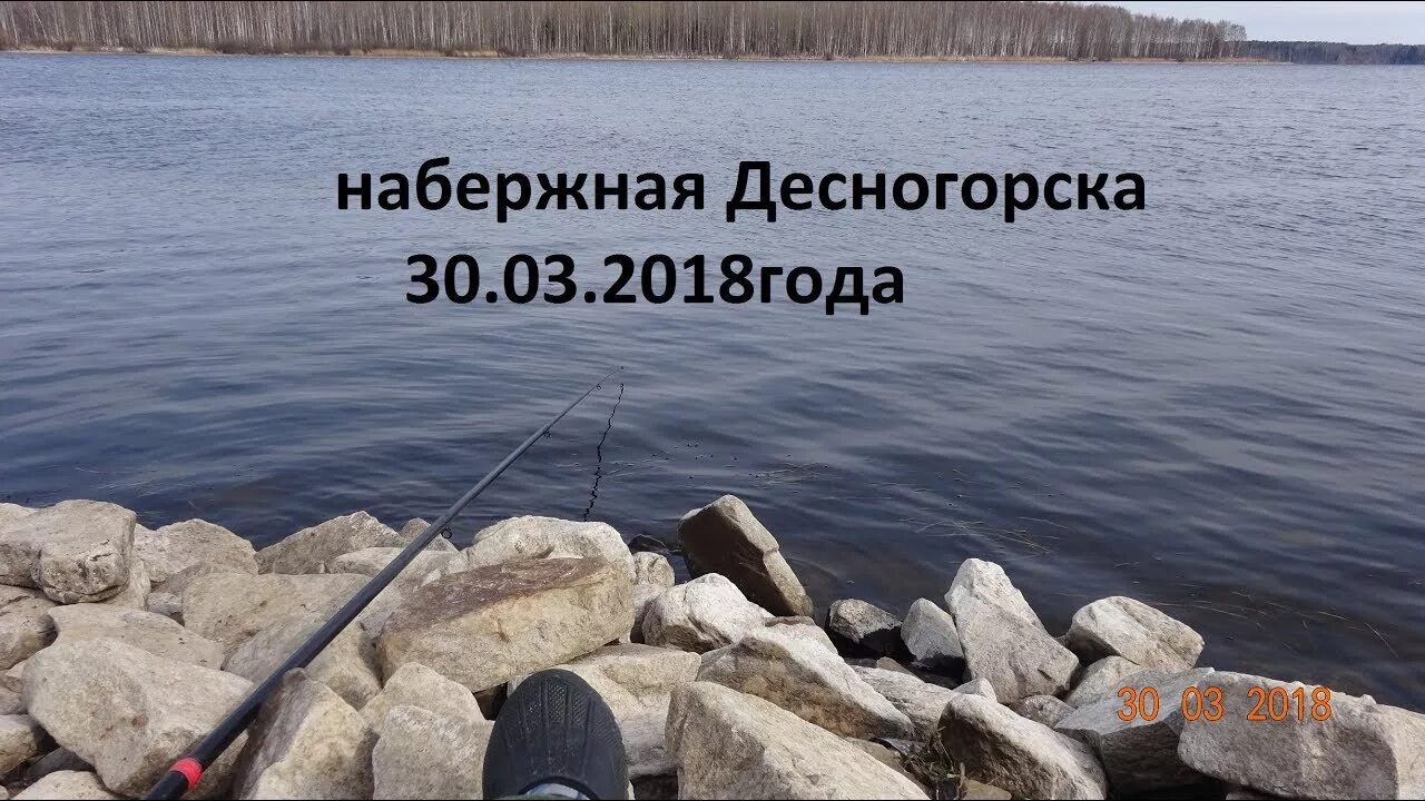 Десногорск рыболовные места. Рыба в Десногорске. Водохранилище в Десногорске. Ловля рыбы на Десногорске. Клев в десногорске