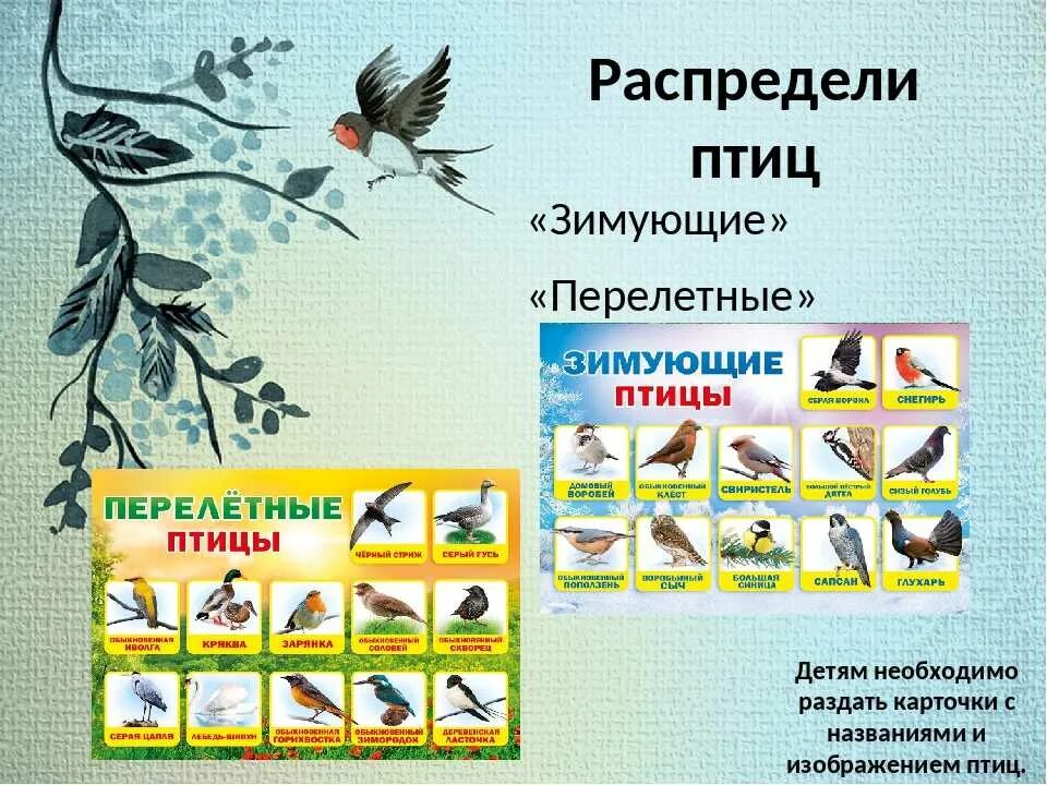 Перелетные птицы для детей подготовительной группы. Перелетные и зимующие птицы. перелётные птицы и зимующие птицы. зимующие и перелетные птицы для дошкольников. зимующие и перелётные птицы для детей дошкольного возраста.