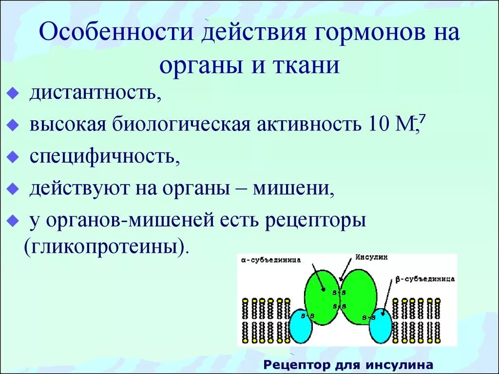 Особенности действия гормонов. Типы биологического действия гормонов. Особенности действия гормонов химия. Особенности биологического действия гормонов типы. Специфическое действие гормонов заключается в том что