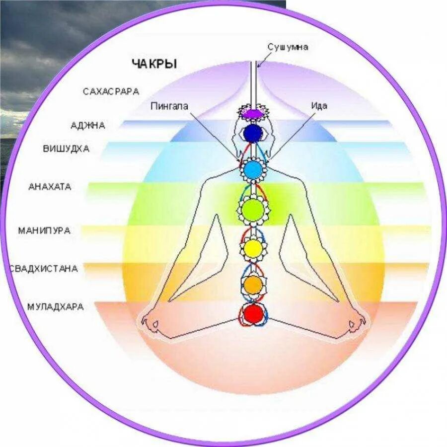 Как узнать свою энергетику сильная она. Энергетические центры человека схема расположения. 7 Чакр человека. Чакры человека Свадхистана. 2 И 3 чакра.