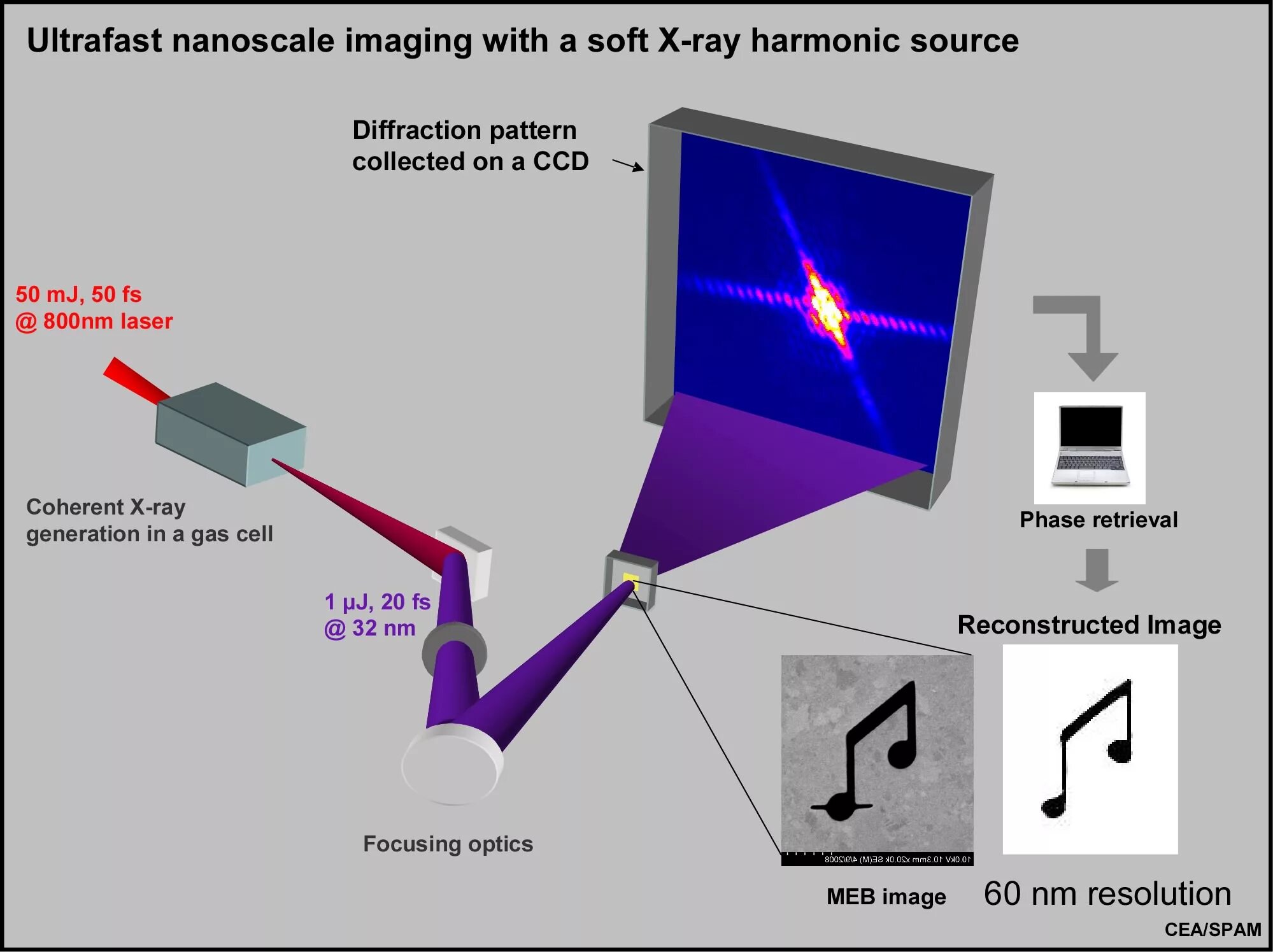 Source x rays