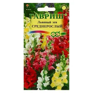 Львиный зев смесь