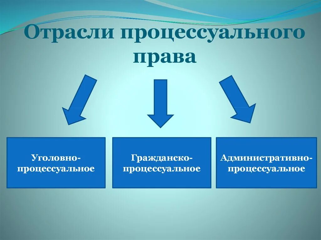 Процессуальное право презентация 10 класс боголюбов. Процпссуальные отрасли право.