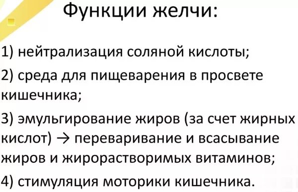 Переизбыток желчи. Симптомы при застое желчи в организме. Признаки застоя желчи в организме.