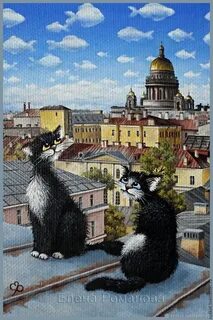 Санкт петербургские коты