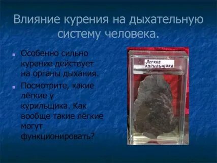 Какие болезни грозят курильщику дыхательной системы
