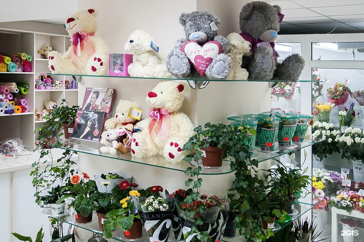 магазины цветов и игрушек. оборудование для магазина цветов и подарков. маленький цветочный магазин. цветочный отдел. интерьер цветочного магазина.