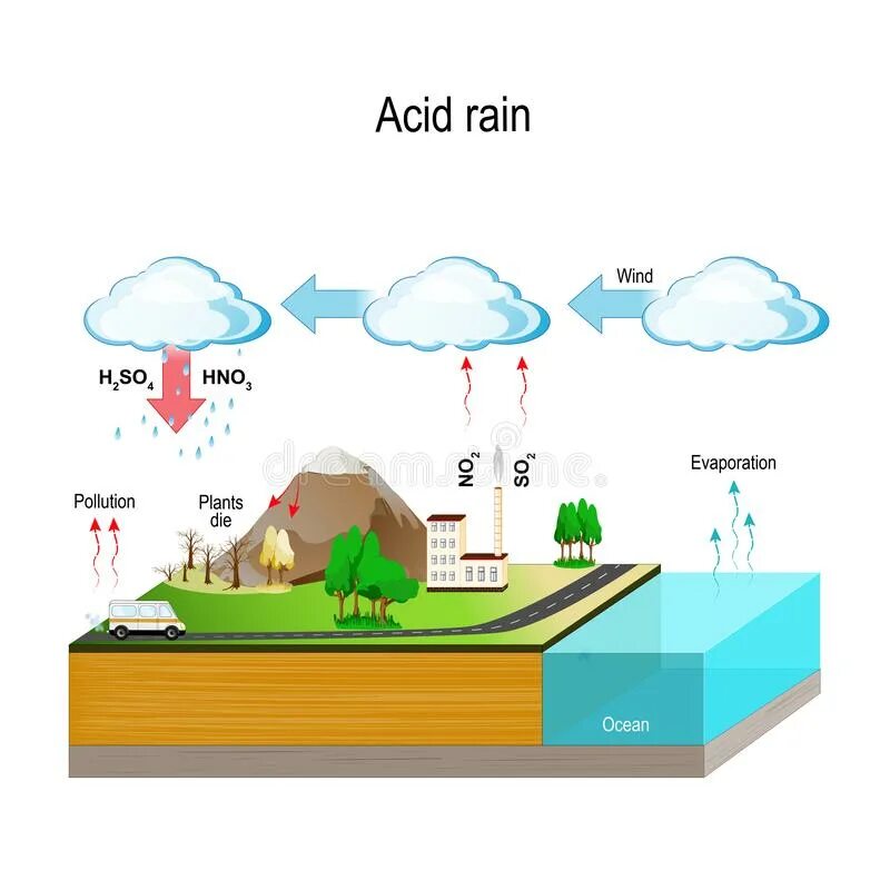 Английский 7 класс стр 77 acid rain. Схема образования кислотных дождей. Схема возникновения кислотных дождей. Схема выпадение кислотного дождя. Кислотные дожди схема.