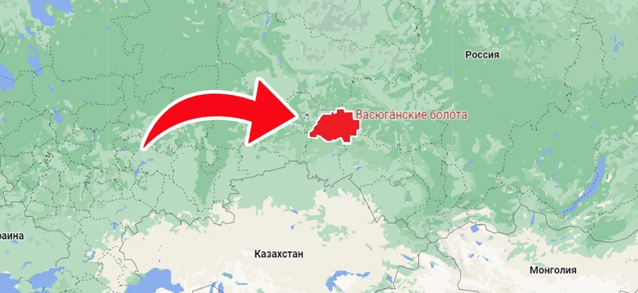 Васюганские болота субъект рф. Васюганские болота на карте России. Васюганское болото на карте. Васюганский заповедник на карте. Западно Сибирская равнина Васюганское болото.