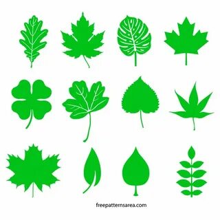 Leaves формы