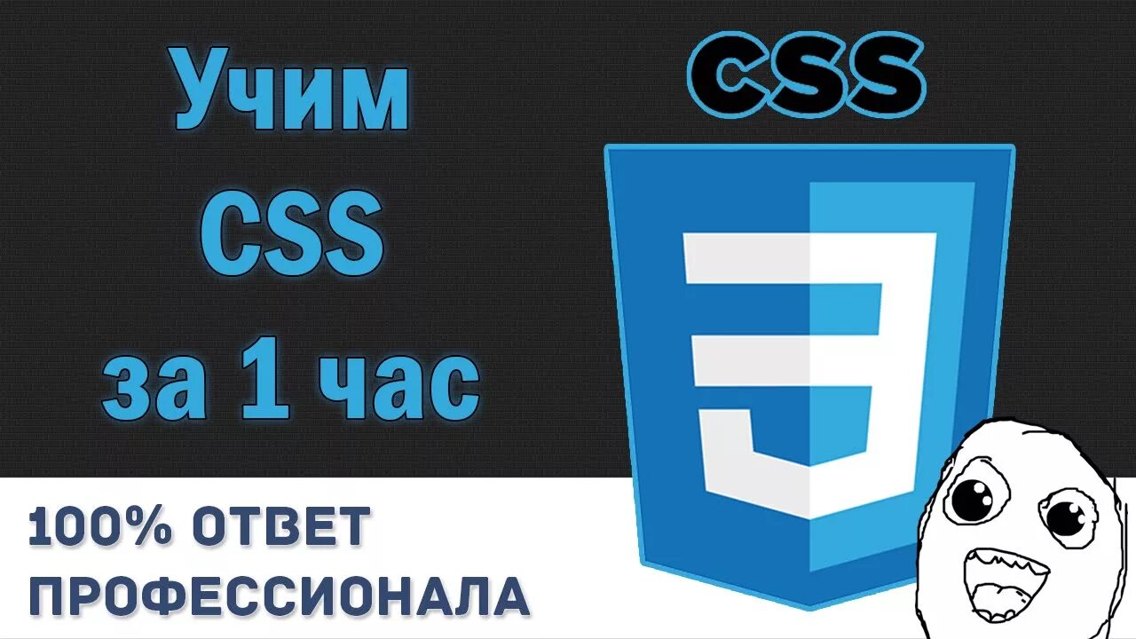 Изучить css. Изучаем css на котиках. хауди хо как выучить английский.