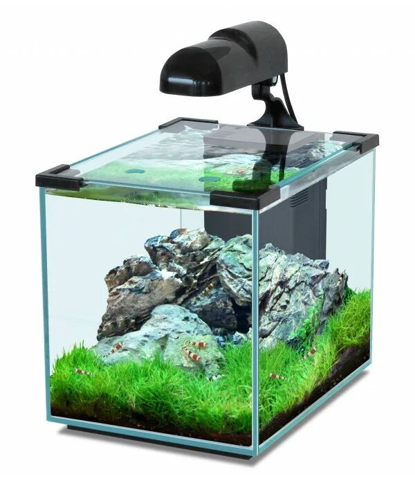 Куб 10 л. Нано аквариум 20 литров. Нано куб 30 литров. Аквариум Aquatlantis 200 литров. Нано креветочник 20 литров.