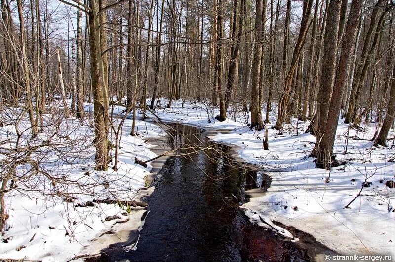 песня весенняя река. майская черемуха цветёт. песня весенняя река. песня весенняя река. речка весной.