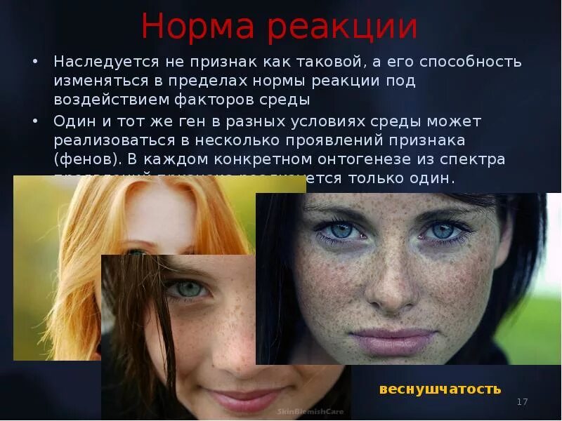 Изменяет фенотип в пределах нормы