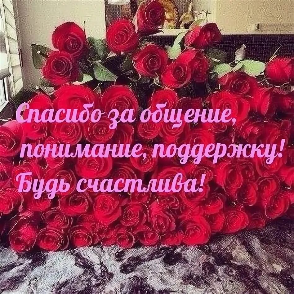 Спасибо за такую поддержку. Открытка с благодарностью за поддержку. спасибо за поддержку и понимание. благодарю за поддержку и понимание. слова благодарности за поддержку в открытках.
