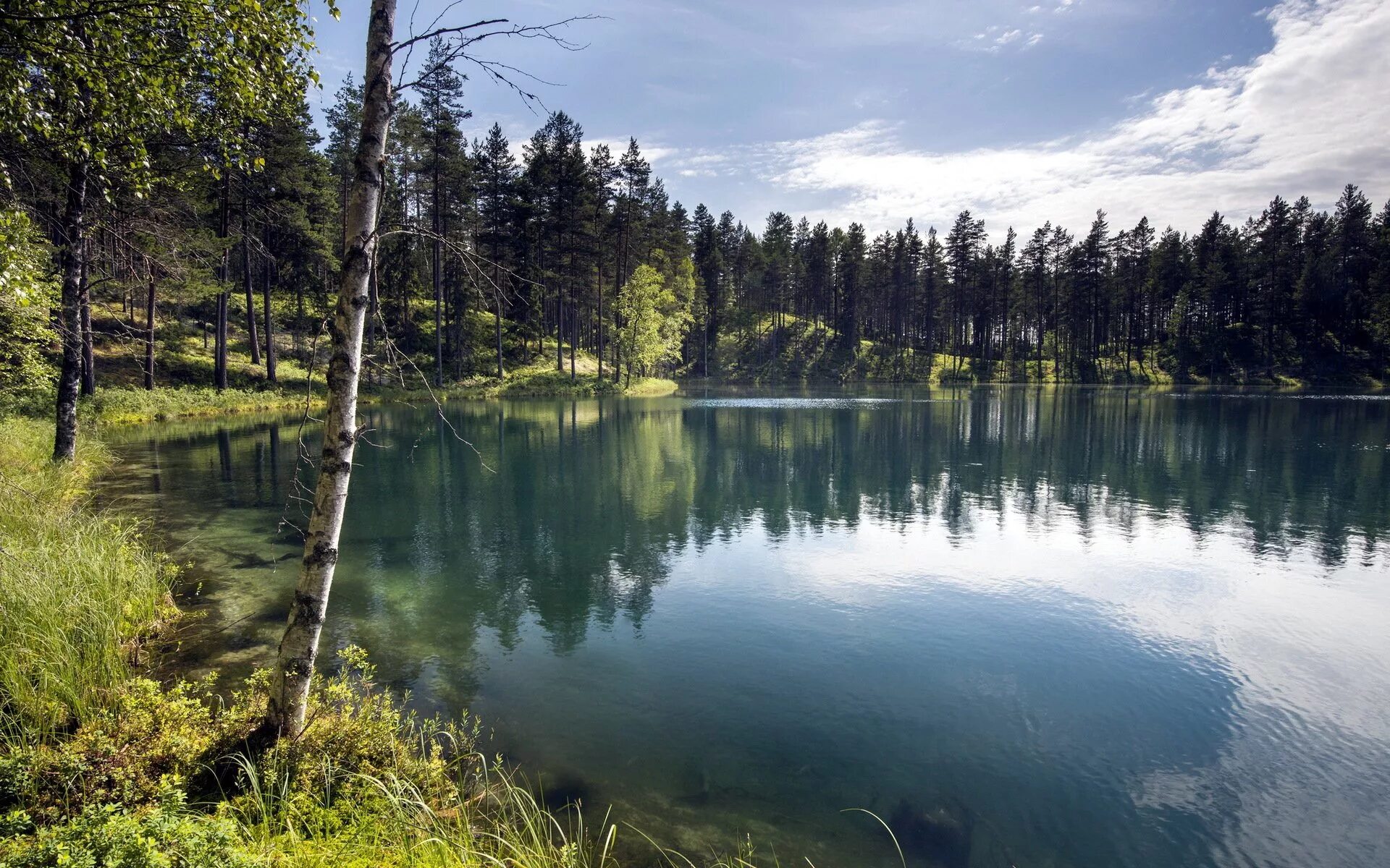 В москве есть озера. Лесное озеро Солнечногорск. Семиозерье. Озеро Ликолампи Выборг. Лесное озеро (Forest Lake).