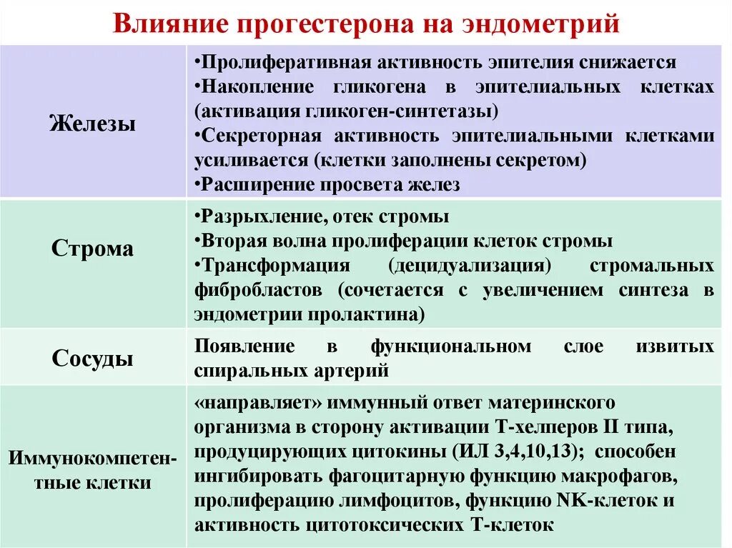 Эстроген влияние на организм. Влияние прогестерона на эндометрий. Эффекты прогестерона на эндометрий. Влияние прогестерона на слизистую матки. Прогестерон влияет на эндометрий.