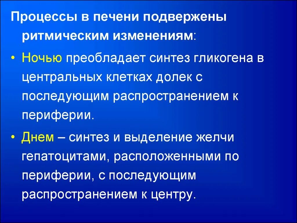 Процессы в печени. Ритмические процессы.