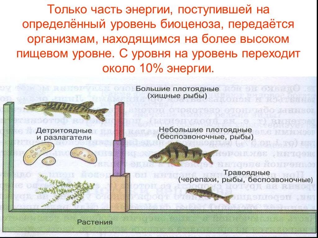 Только часть