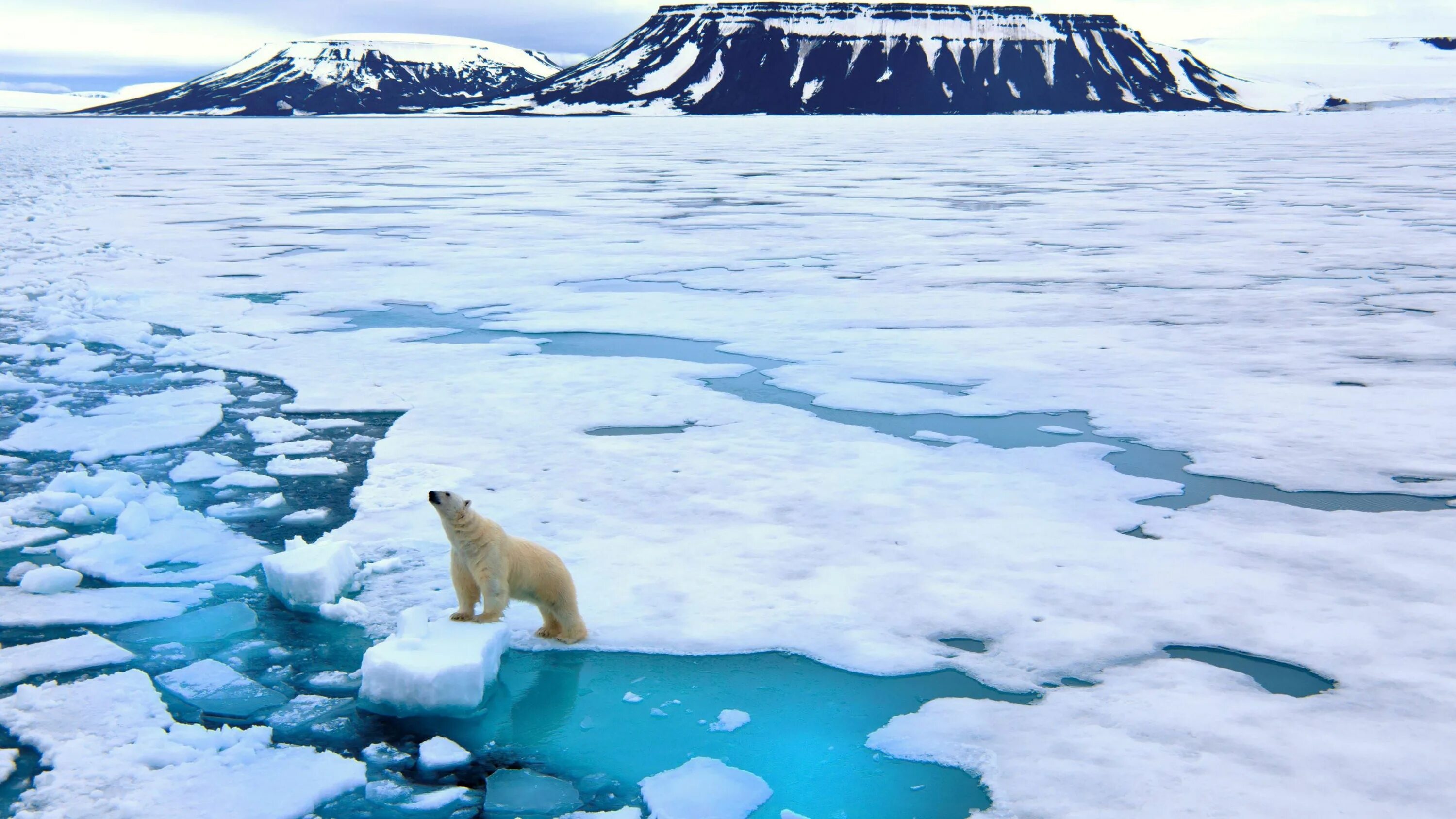 Antarctica’s Carbon Dioxide Levels Have Reached A Troubling New Record