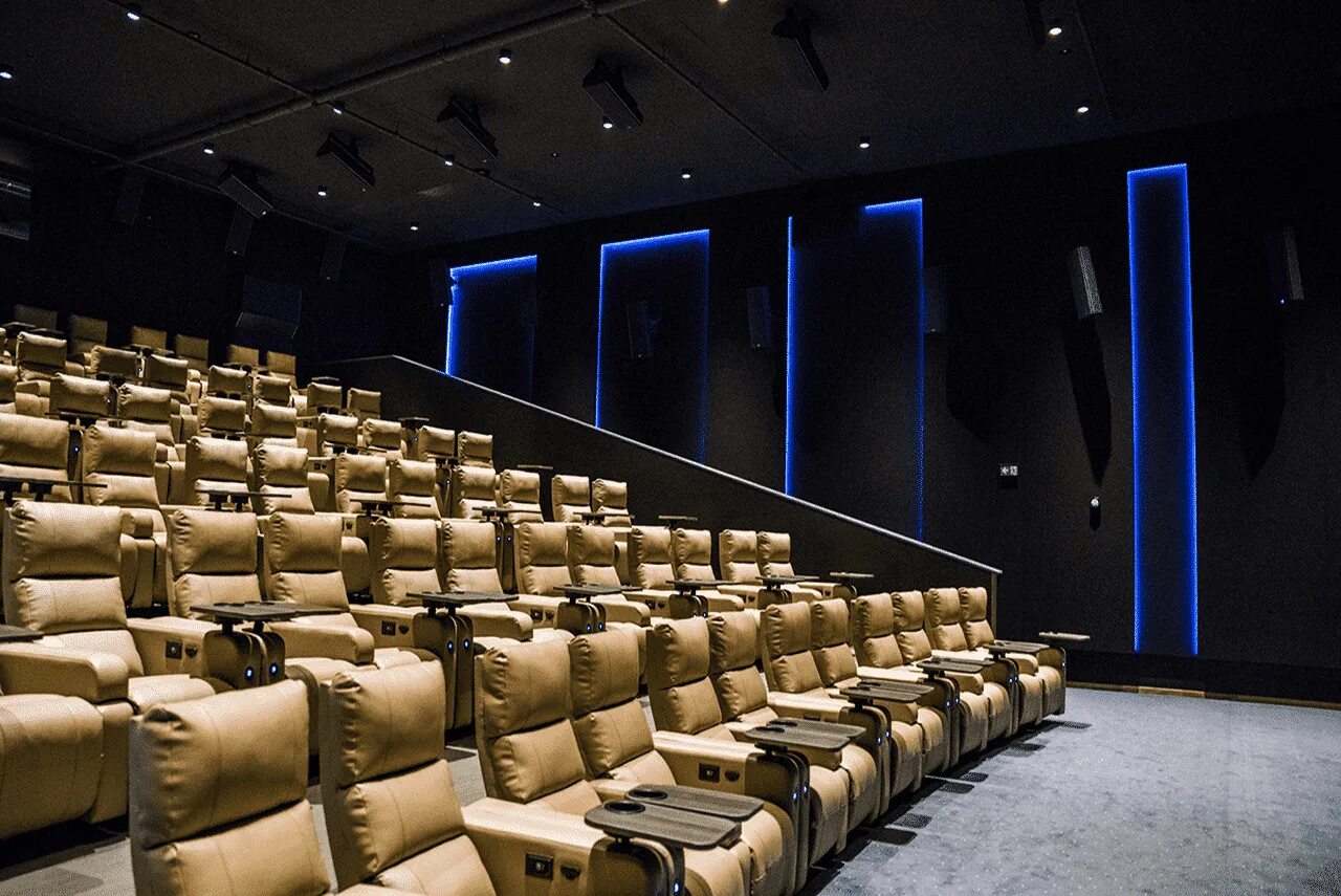 Киномакс 3d-мегаполис екатеринбург. Киномакс пушкина. Киномакс пушкино парк. Киномакс бар. Кинотеатр киномакс пушкино.