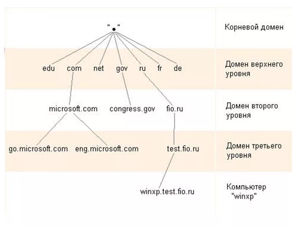 Доменное имя 2 уровня. Домен второго уровня пример. доменное имя 3 уровня пример. домен уровни доменов. доменное имя уровни доменных имен.