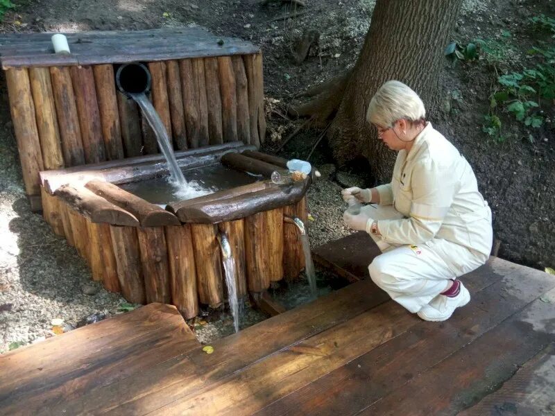 Родник экология. Родник злобовский саратовская. Родника бима параскевы пятницы. Набирает воду из родника. Житель родников.