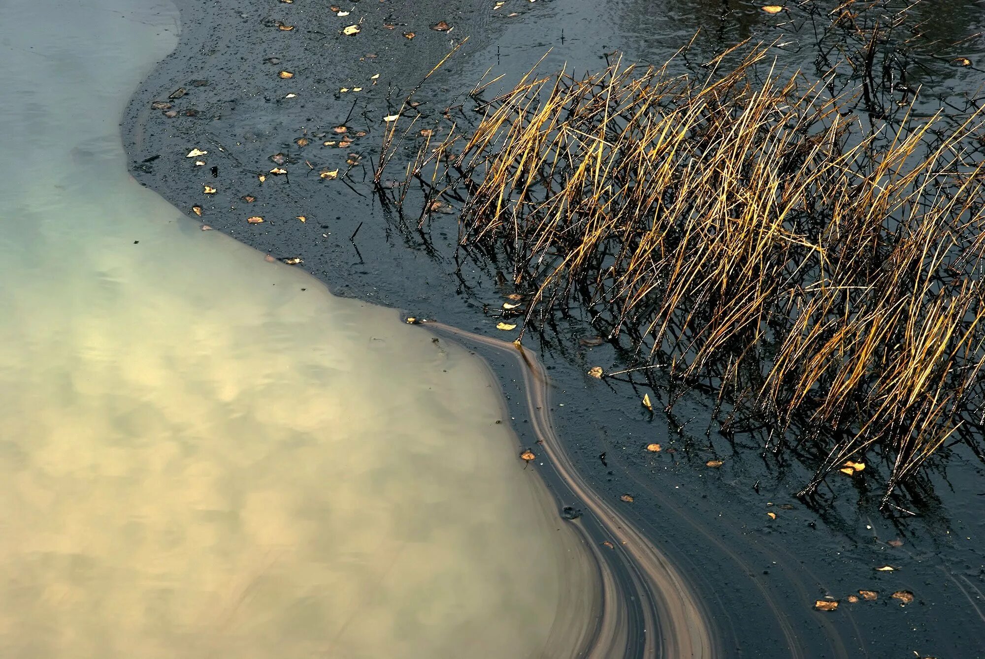 Загрязнение рек морей. Загрязнение воды. Загрязнение водоемов. Загрязнение воды нефтью и нефтепродуктами. Загрязнение водоемов нефтепродуктами.