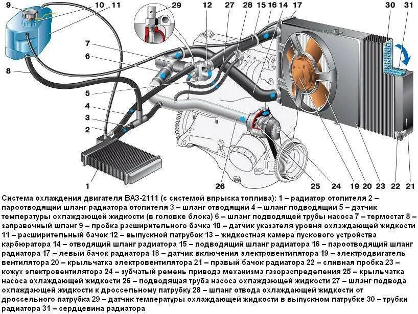 Холодный радиатор причина. Система охлаждения ВАЗ 2110 инжектор. Схема системы охлаждения двигателя ВАЗ 2110. Система охлаждения двигателя ВАЗ 2110 инжектор 8. Система охлаждения на ВАЗ 2111 16 клапанный двигатель.