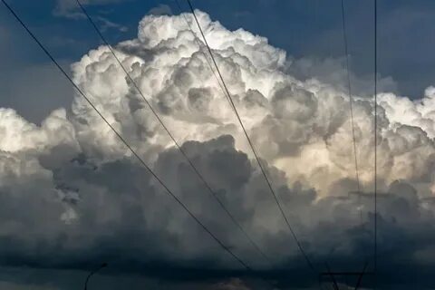 Туча принести