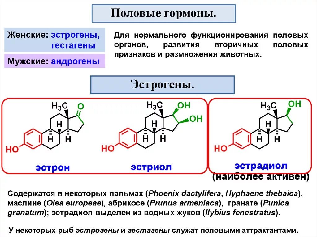 3 женские половые гормоны. Биологические различия. Половые гормоны. Андрогенные стероидные гормоны. Женские половые гормоны гестагены и эстрогены. Половые гормоны андрогены эстрогены.