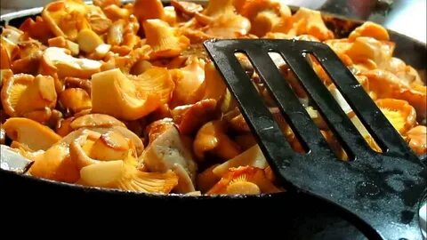 Сколько по времени жарятся лисички на сковороде