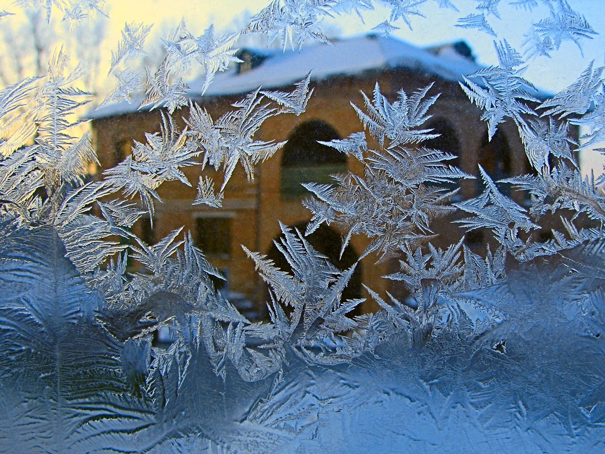 При сильных морозах на стеклах. Морозное окно. Зимние узоры на окнах. Морозные узоры. Узоры на окнах от Мороза.