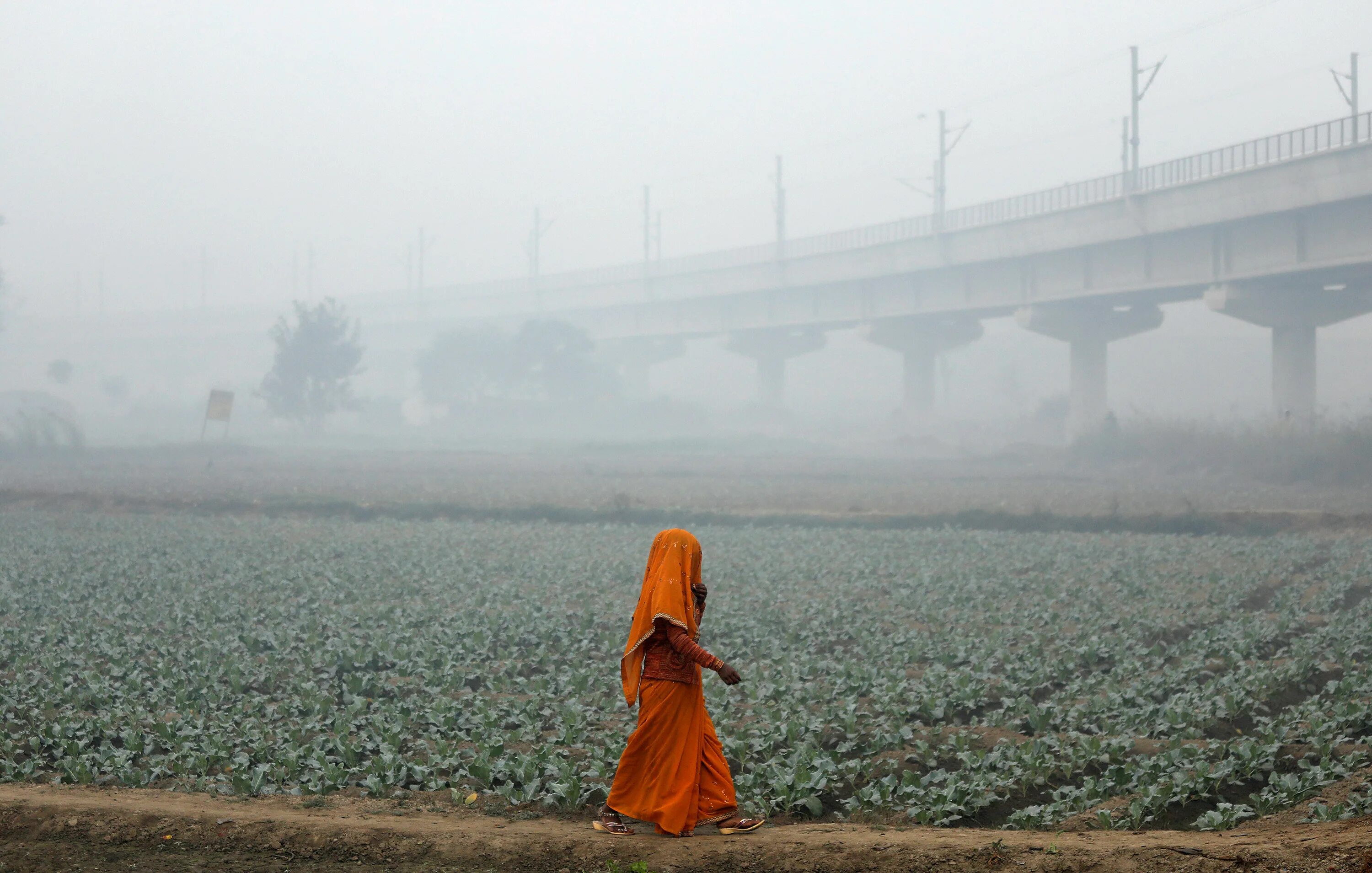 This pollution is gathered in clouds. Нью Дели смог. Смог Нью-Дели (Индия). Дакка Бангладеш загрязненный воздух. Лахор, Пакистан загрязненный воздух.