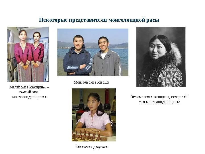 Представители монголоидной расы - Монгол. Североазиатская монголоидная раса. Монголоидная раса малайцы. Южная монголоидная малая раса.