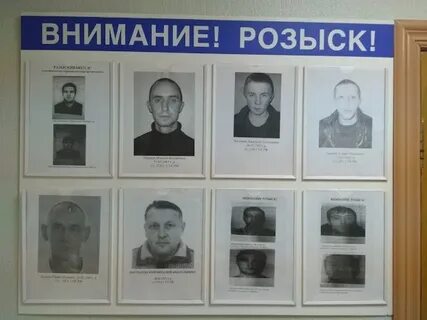 Организация розыска